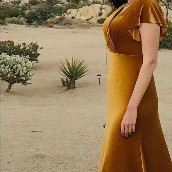 BHLDN Jenny Yoo Ellis Stretch Velvet Gown Size 12 NWT - Picture 3 of 16